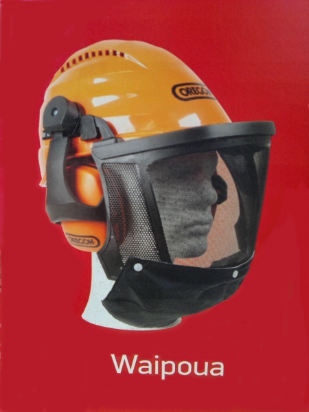 Kopfschutz mit Gehör- und Gesichtsschutz Sicherheitshelm Helm